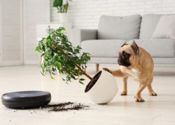 Robotai siurbliai: verta ar neverta?