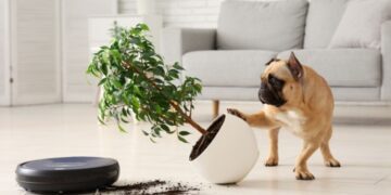 Robotai siurbliai: verta ar neverta?