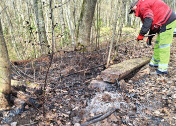 Gaisras dvarvietės miške