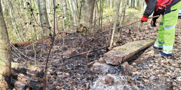 Gaisras dvarvietės miške