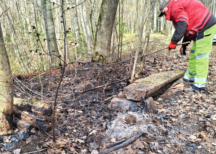 Gaisras dvarvietės miške