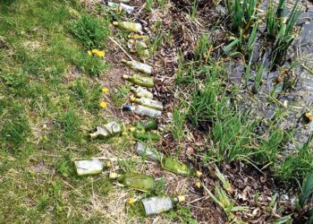 Žmonės kiaulės nebenustebino