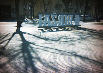 Kodėl jaunos šeimos abejoja, ar norėtų gyventi Biržuose?