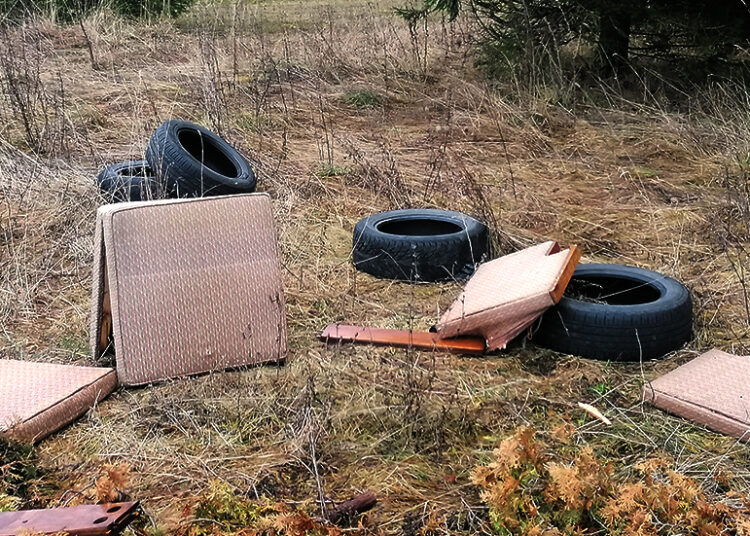 Padangų keitimo ir dygimo laikas