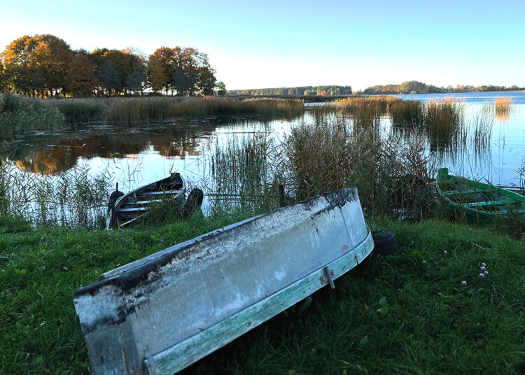 Apvirtusi valtis išgąsdino paežerės gyventojus