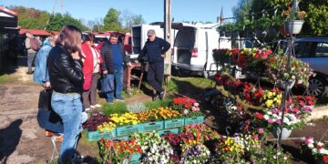 Pavasarinis Biržų turgaus atgimimas