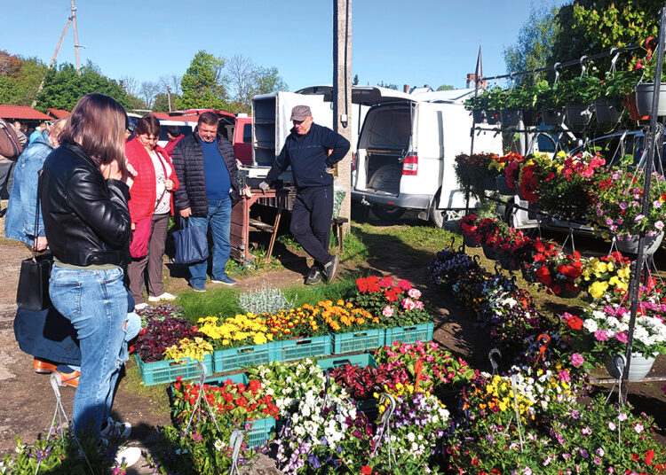 Pavasarinis Biržų turgaus atgimimas