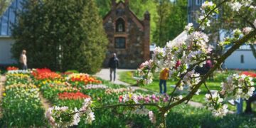 Burbiškio dvaro Tulpių žydėjimo šventėje –  nuo Barboros Radvilaitės iki „The Roop“