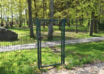 Ar galima per sodus nueiti į parką?