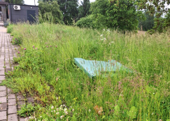 Žolės ir pjovėjų lenktynės: ar gresia diskvalifikacija