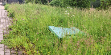 Žolės ir pjovėjų lenktynės: ar gresia diskvalifikacija
