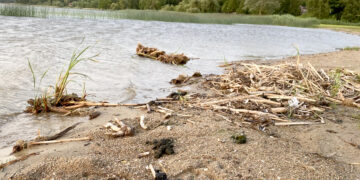 Nesinori banaliai, bet paklausiu – ką skalauja Širvėna?