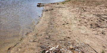 Kada sezonui bus paruoštas centrinis pliažas?