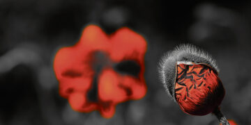 Eseistikos etiudai ir vienas trieilis