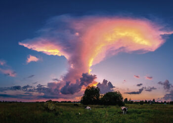 Vabalninkietis užfiksavo retus kosminius žaibus