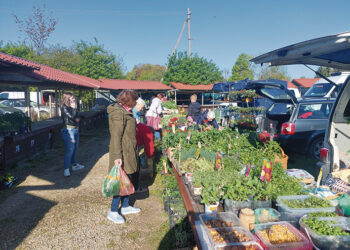 Turgaus prekeiviai veiklą galės tęsti įprastu ritmu