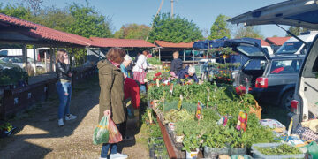 Turgaus prekeiviai veiklą galės tęsti įprastu ritmu