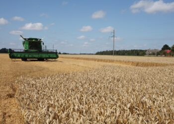 Žemės ūkis – svarbi nacionalinio saugumo sritis