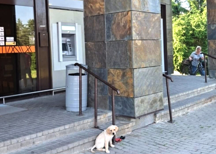 Sprogdintojai antrą kartą taikiniu pasirinko tą patį bankomatą?