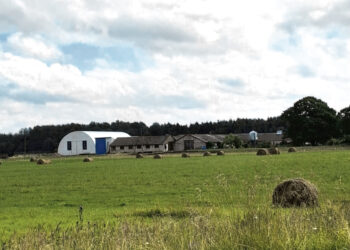 Ūkyje rastas žuvusio vyro kūnas