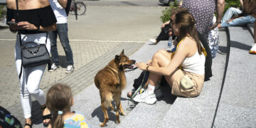 Lauko pramogas ir turistus pristabdė lietinga vasara