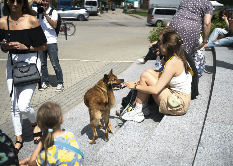 Lauko pramogas ir turistus pristabdė lietinga vasara