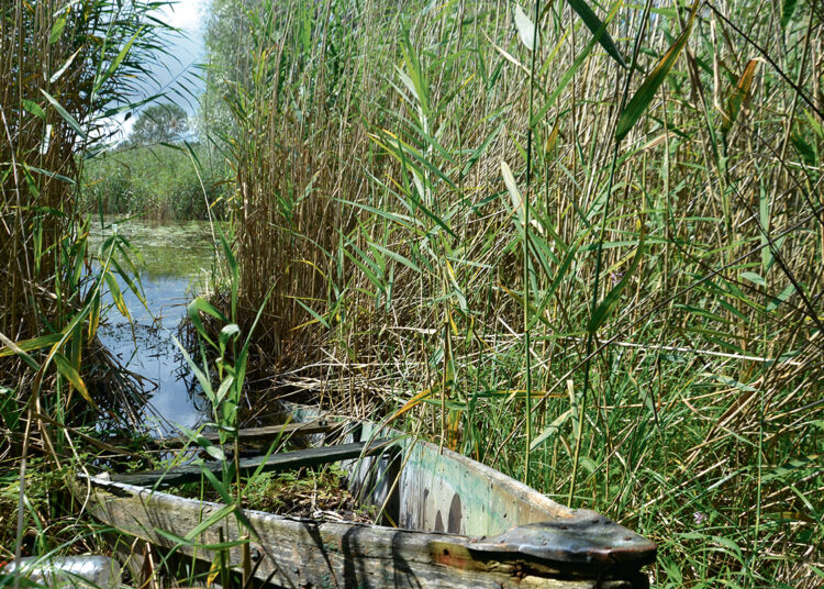 Nauji projektai ir valčių puvėsiai vandenyje