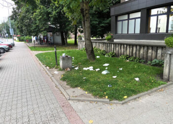 Ar išsivalys šiukšles miesto centre?