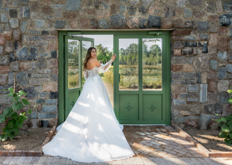 Metų vestuvės Ilzenbergo dvare