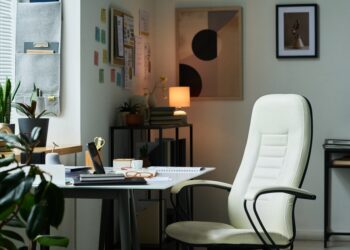 Kaip pasirinkti ergonomišką darbo kėdę namų ofisui?