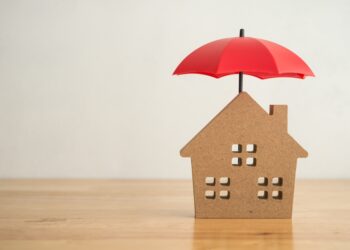 Išvykstate atostogų? Pasirūpinkite namų saugumu ir savo ramybe