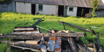 Kvailiojantis girtuoklis šokdina tarnybas ir kaimynus