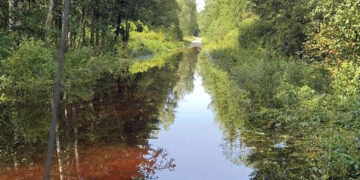 Lietus vis dar jaukia planus