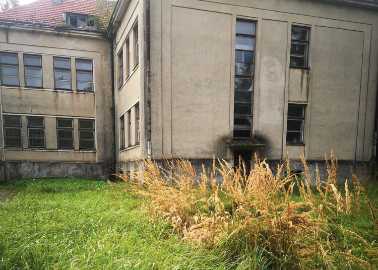 Apleista buvusios mokyklos teritorija netvarkoma