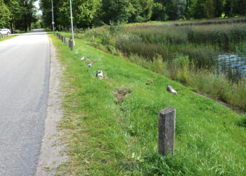 Astrave skraidė „Volvo“