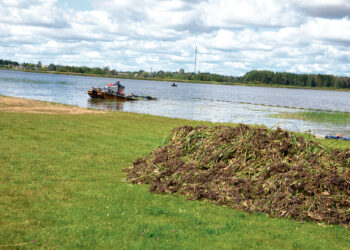 Maudyklose bus maloniau