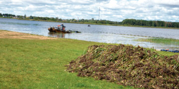 Maudyklose bus maloniau