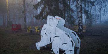 Vienos dienos Biržuose įspūdis, arba apie mūsų vertybių DNR