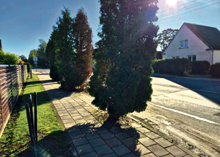 Bus šalinamos tujos