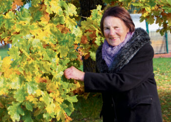 Kai visas gyvenimas – Papilys