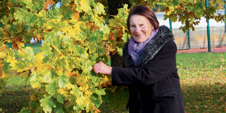 Kai visas gyvenimas – Papilys