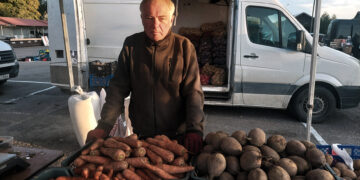 Gyvuliai ištrypė daržoves