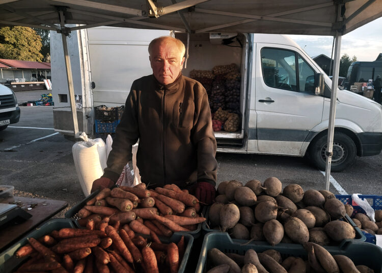 Gyvuliai ištrypė daržoves