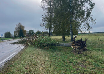 Vėjas siautėjo, triūsė ugniagesiai, kelius valė ir vairuotojai