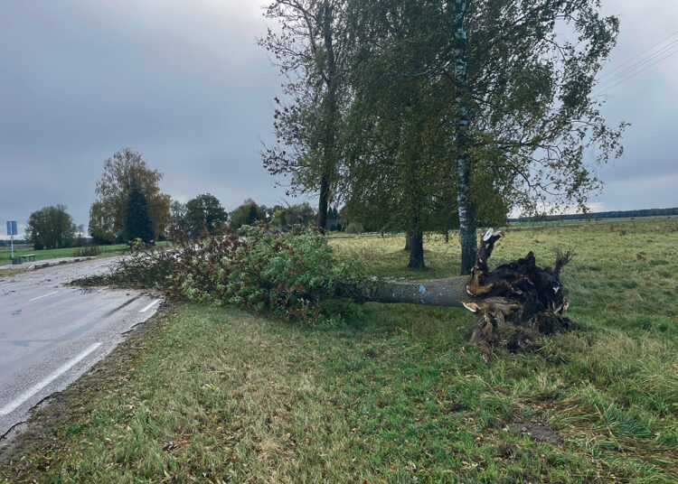 Vėjas siautėjo, triūsė ugniagesiai, kelius valė ir vairuotojai