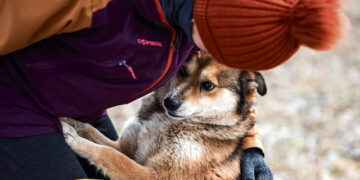 „Vizgiui“ – jau penkeri