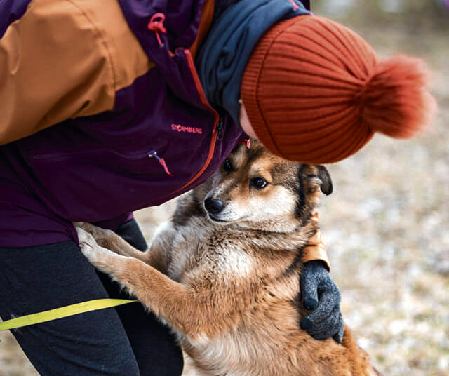 „Vizgiui“ – jau penkeri