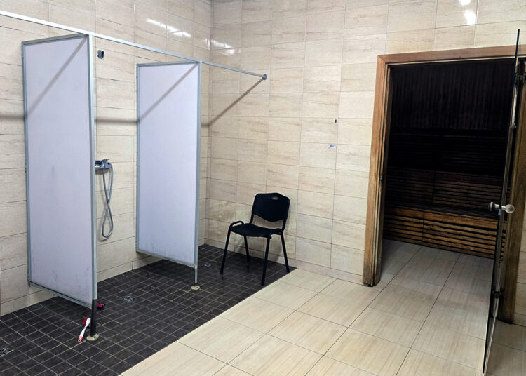 Mėgstamiausias garas – česnakinio nuoviro