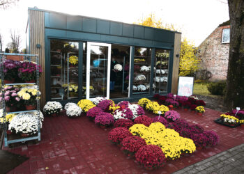 Gėlės grįžo į įprastą vietą