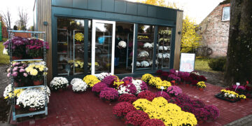 Gėlės grįžo į įprastą vietą